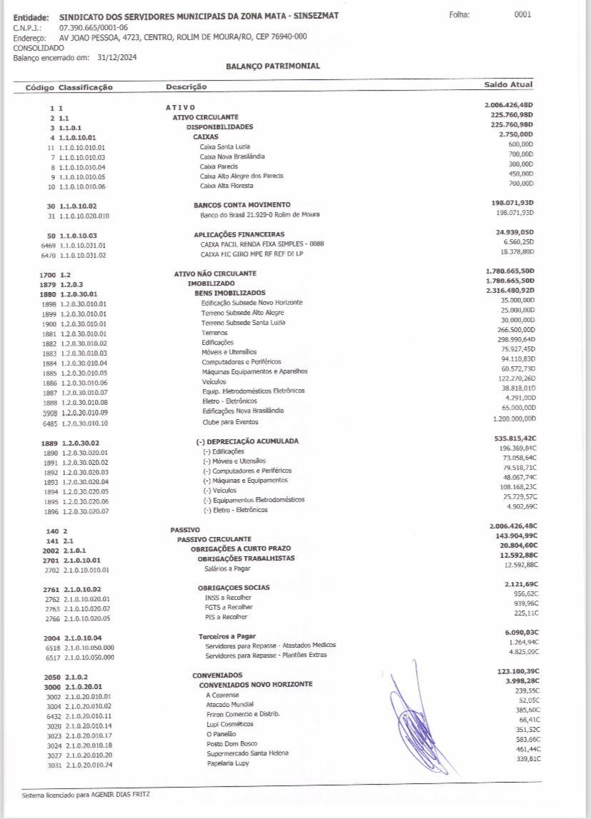 Prestação de Contas de 2024